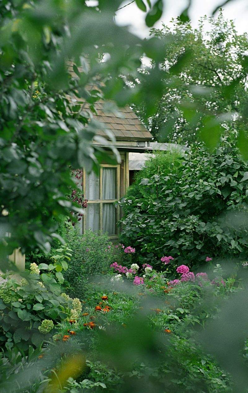 Beneficios de contar con mantenimiento profesional para su jardín
